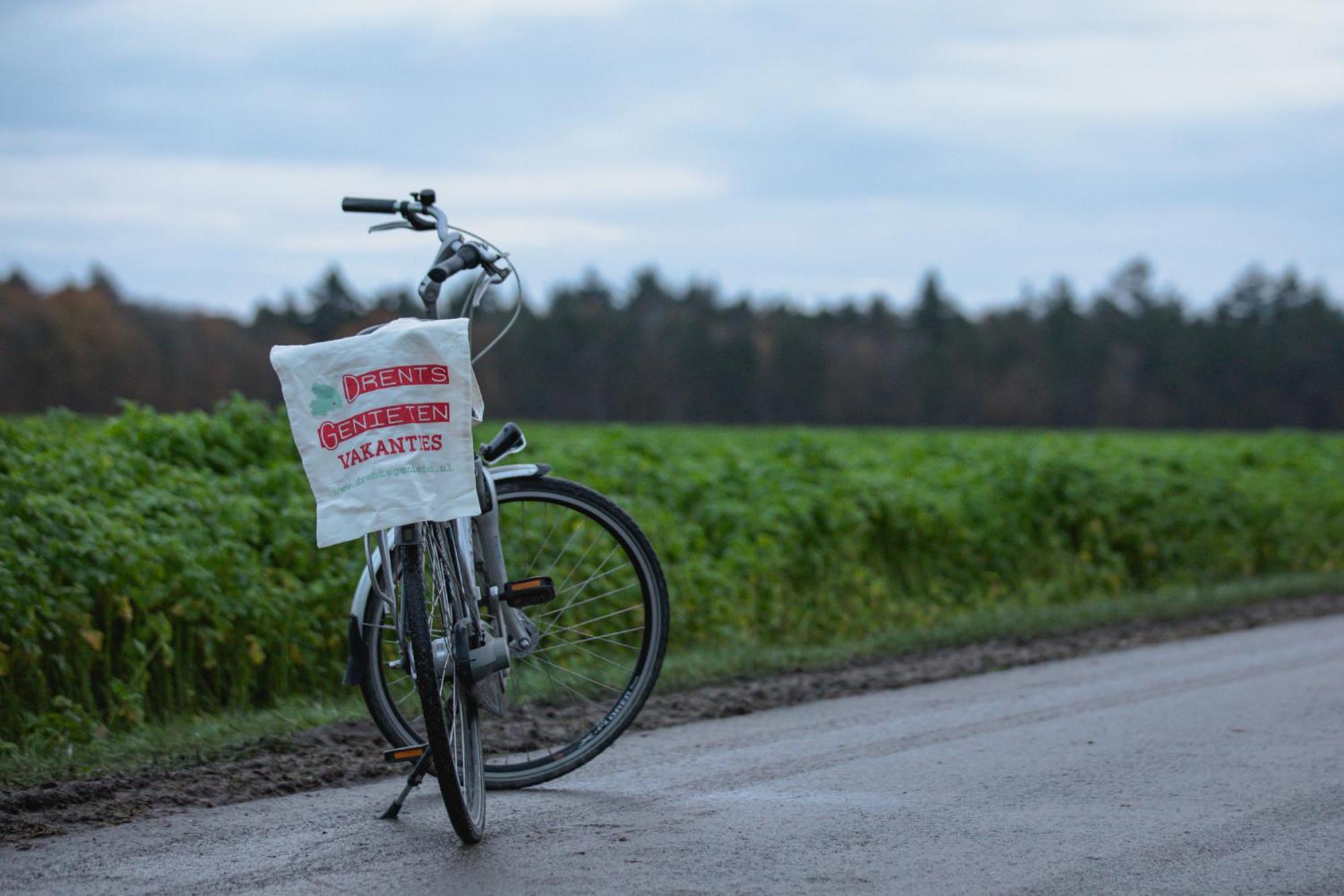 Drents Genieten - Lavendelheide Met Uitzicht Op Het Water Erm 外观 照片